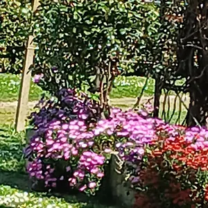 Appartamento Azienda Il Tizzano, Albinia